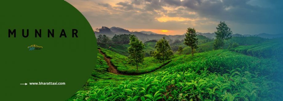 Top 10 Tourist Places in South India - Munnar - Bharat Taxi Blog